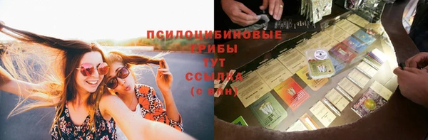 первитин Пестово