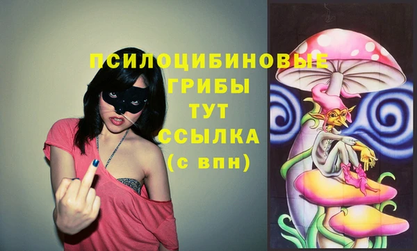 мдма Пересвет