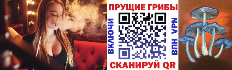 наркота  Фролово  blacksprut ссылки  Галлюциногенные грибы MAGIC MUSHROOMS 