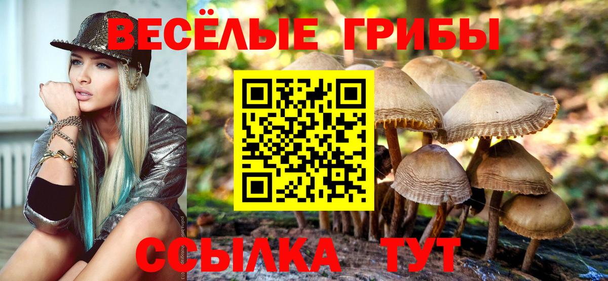 Фролово  Галлюциногенные грибы Psilocybe  Вход с VPN  Псилоцибиновые грибы MAGIC MUSHROOMS 