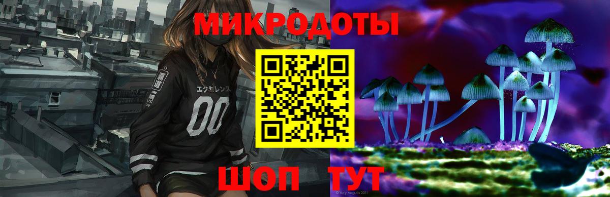 Псилоцибиновые грибы Cubensis  Псилоцибиновые грибы MAGIC MUSHROOMS  Фролово 